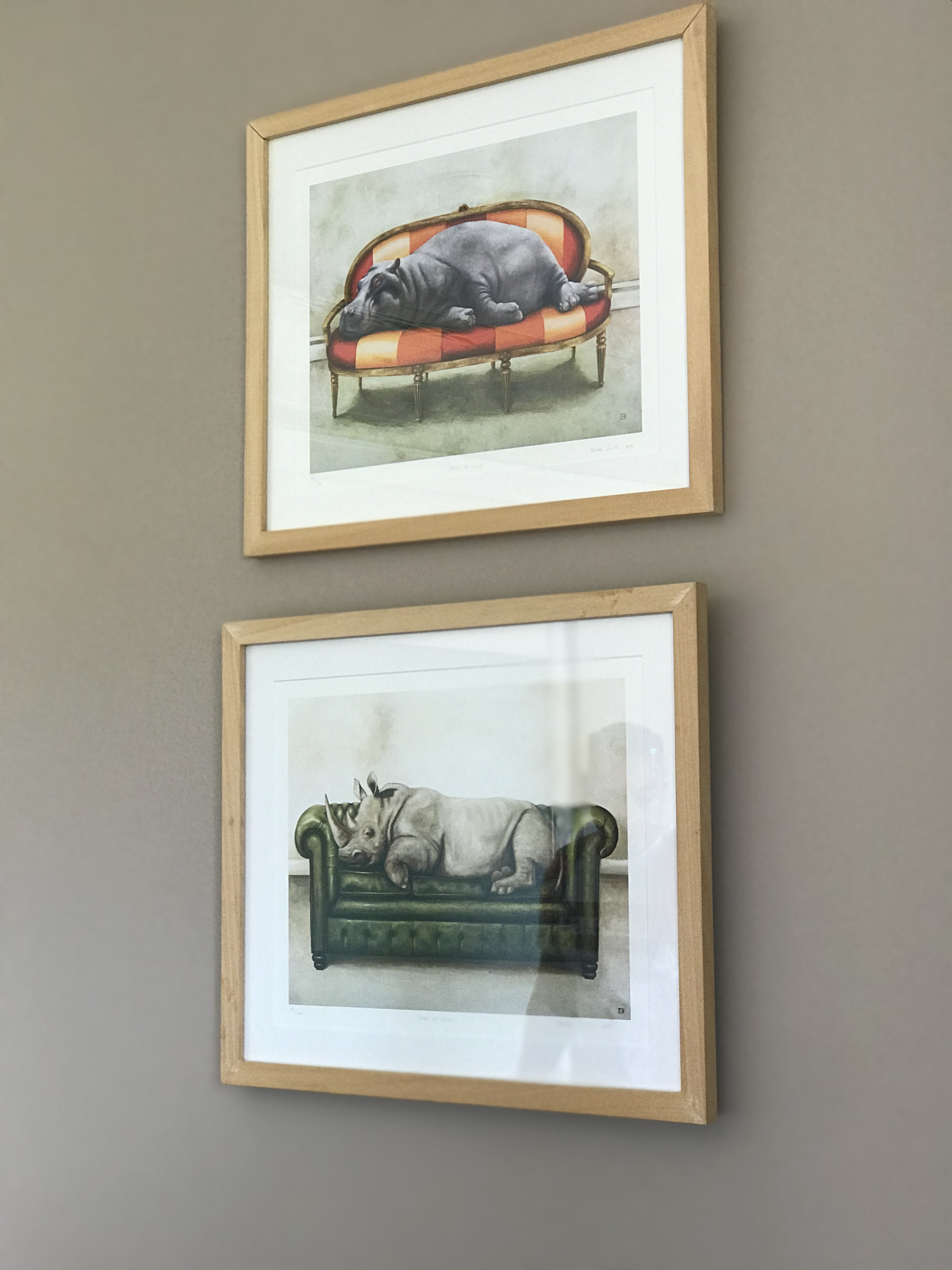 aquila private game reserve