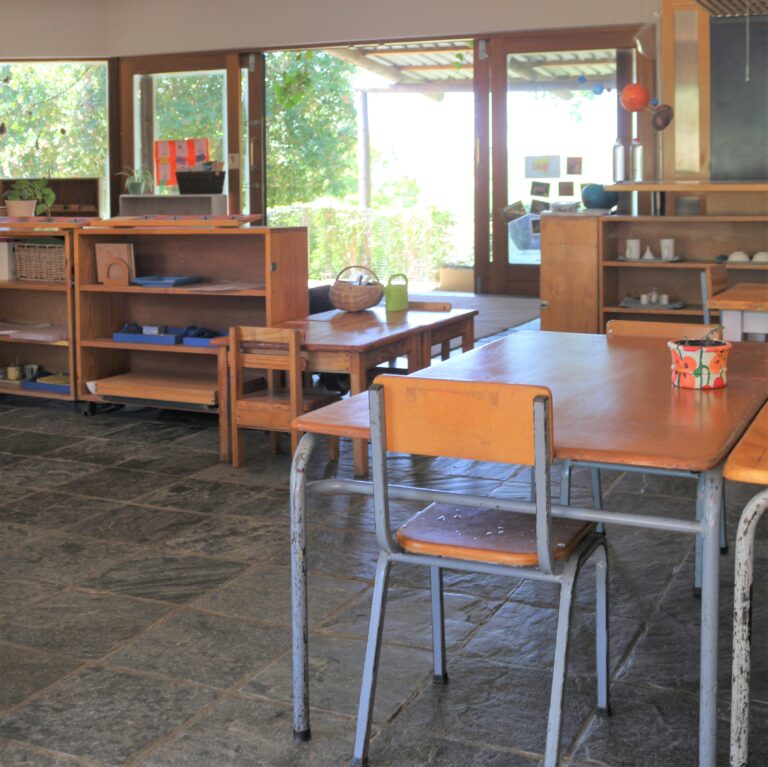 chameleons montessori